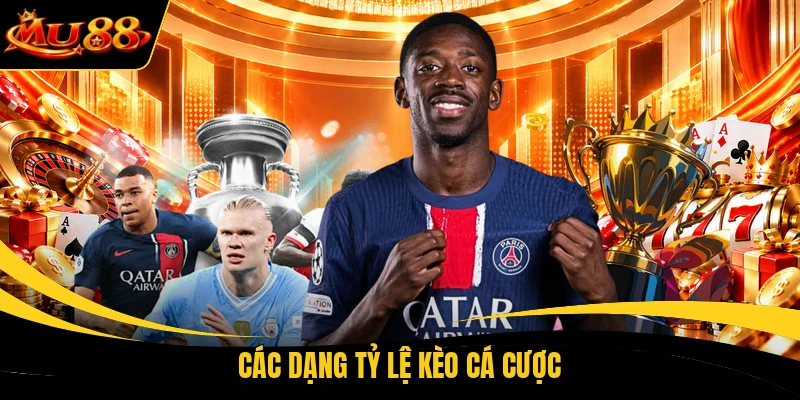 Các dạng tỷ lệ kèo cá cược