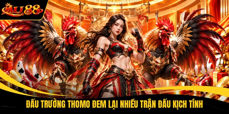 Đấu trường Thomo đem lại nhiều trận đấu kịch tính